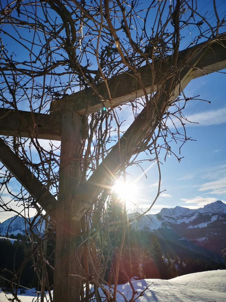 Bergnest in märchenhafter Alpenkulisse