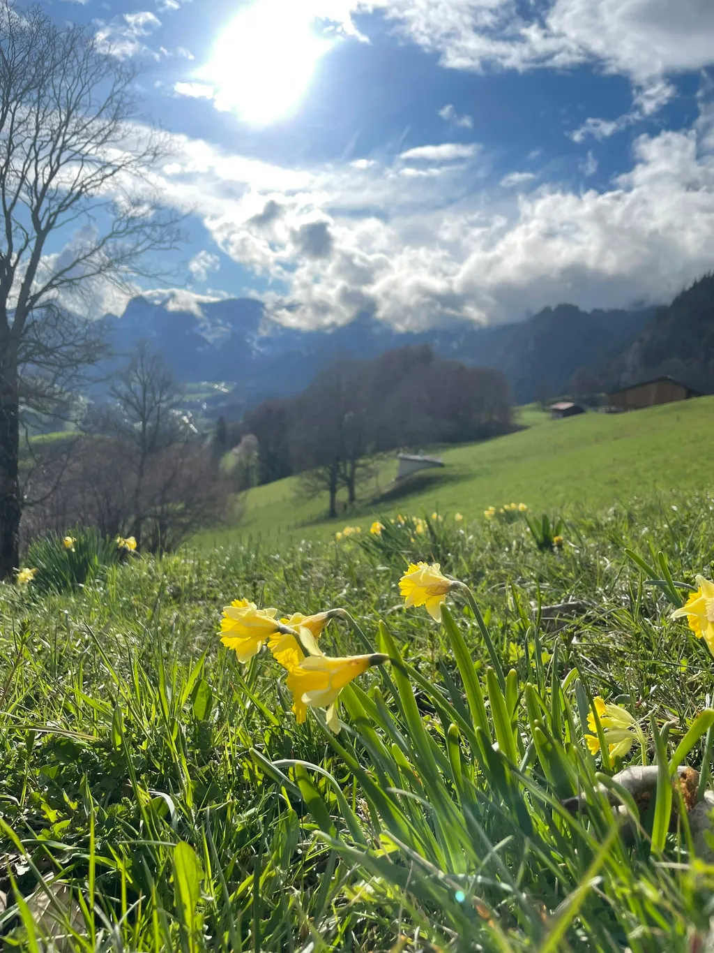 Schüürbüel - Hof mit Panoramablick