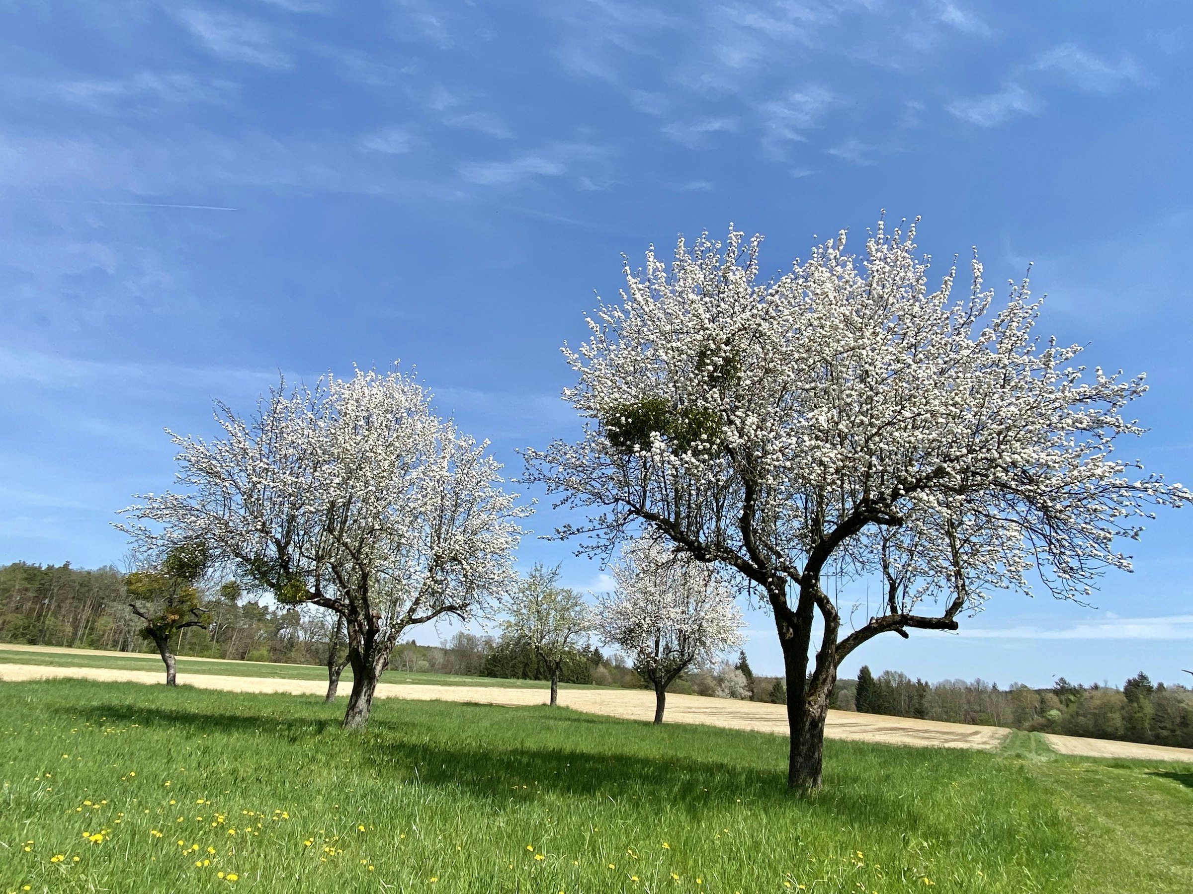Erholung im Uhudlerland