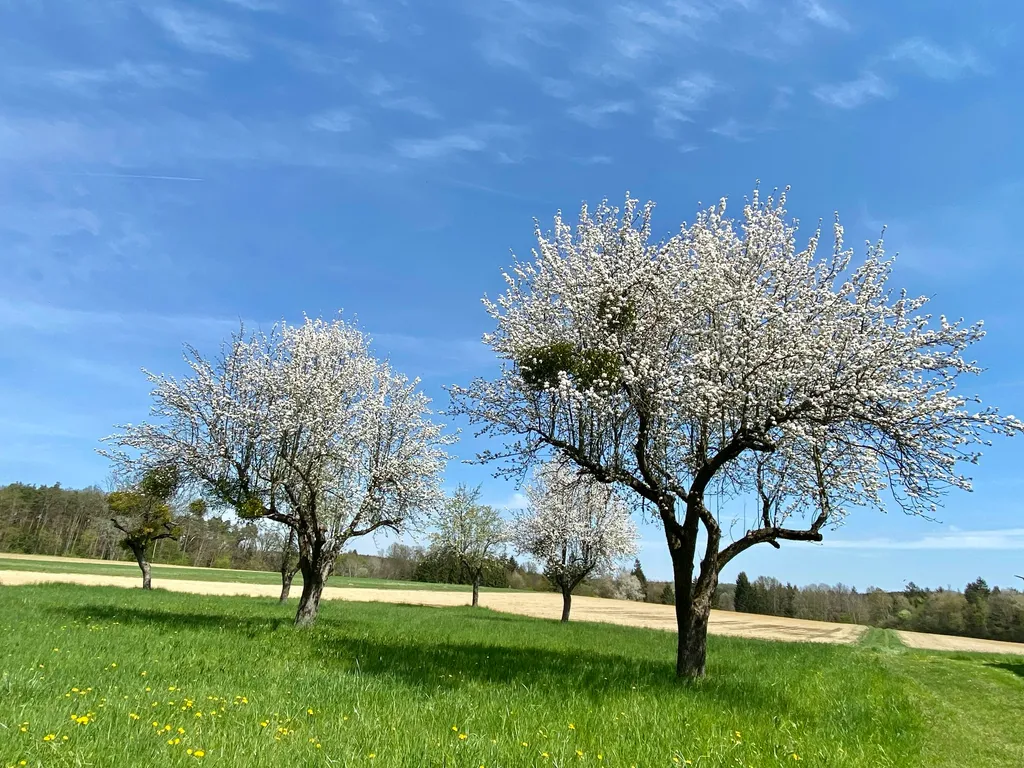 Erholung im Uhudlerland