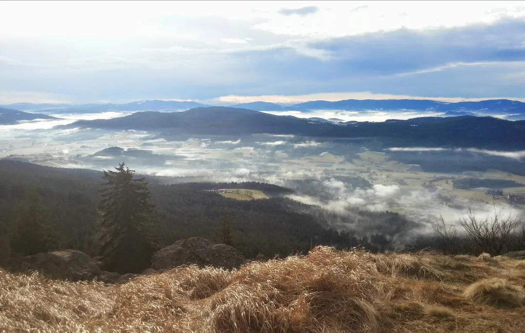 Zwischen Berg und Kuh beim Stefan