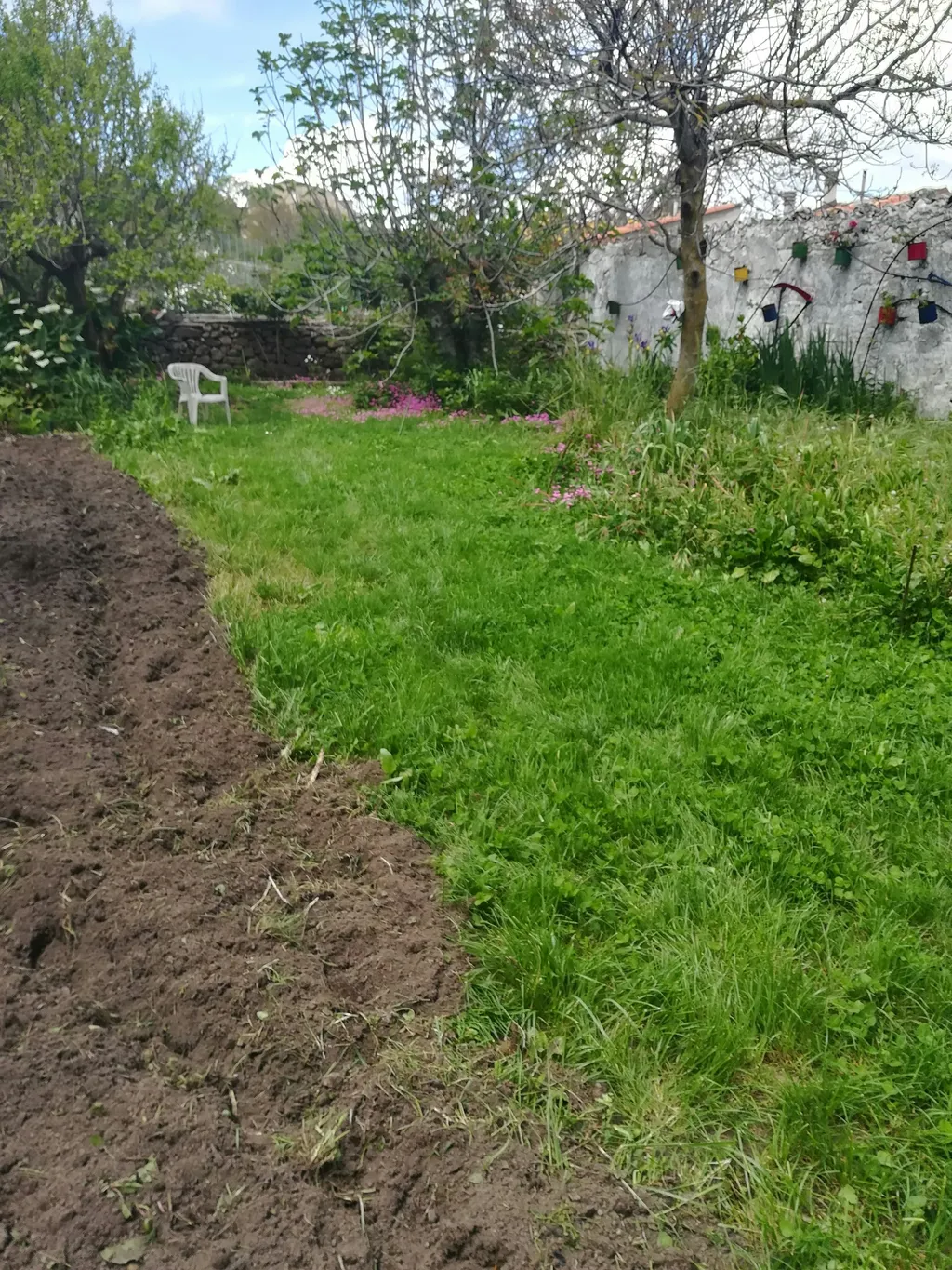 Il giardino delle ortensie