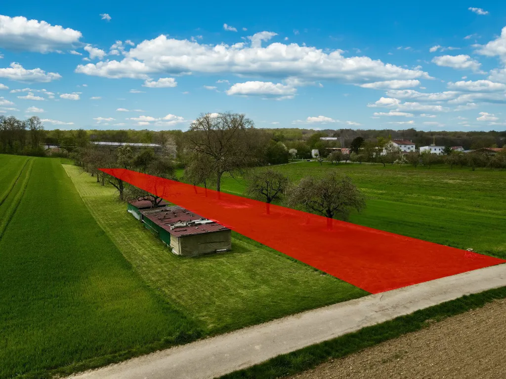 Obstbaum-Wiese inmitten von Feldern