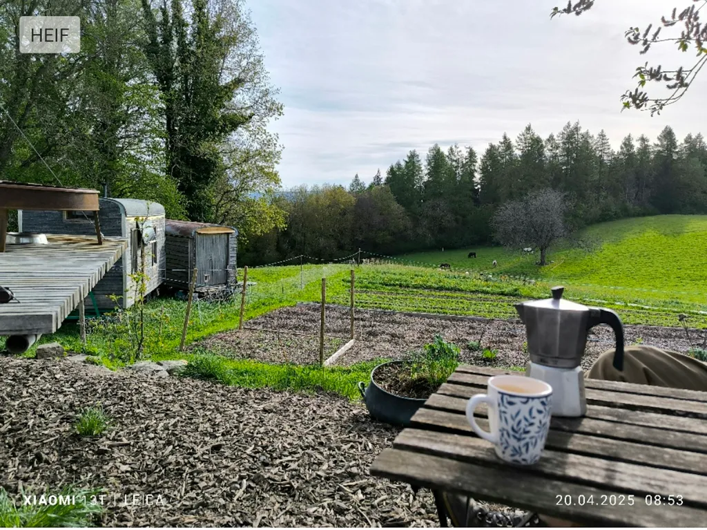 "Homster" mein Container mit Charme