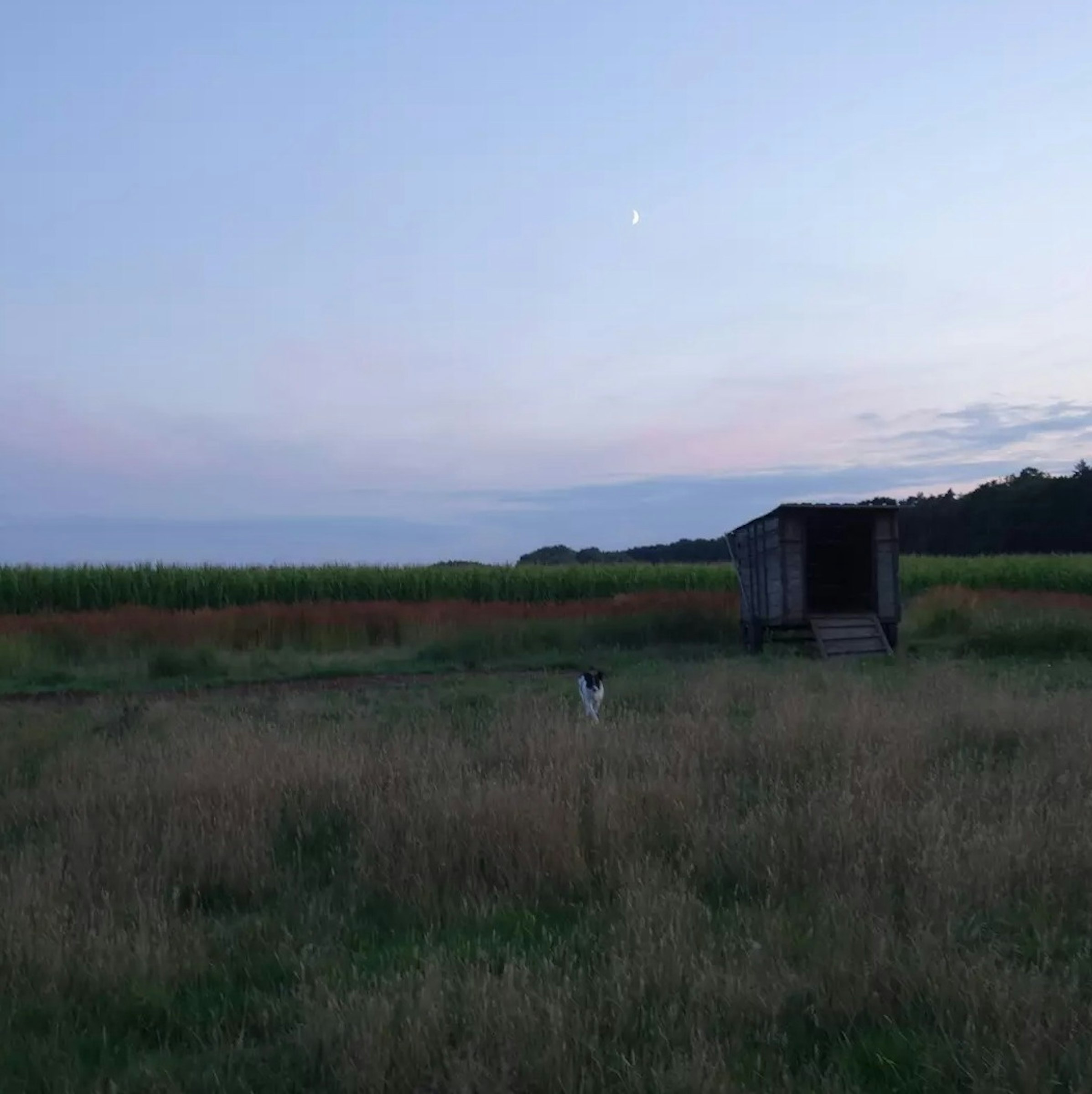 Alter Sportplatz Wardow