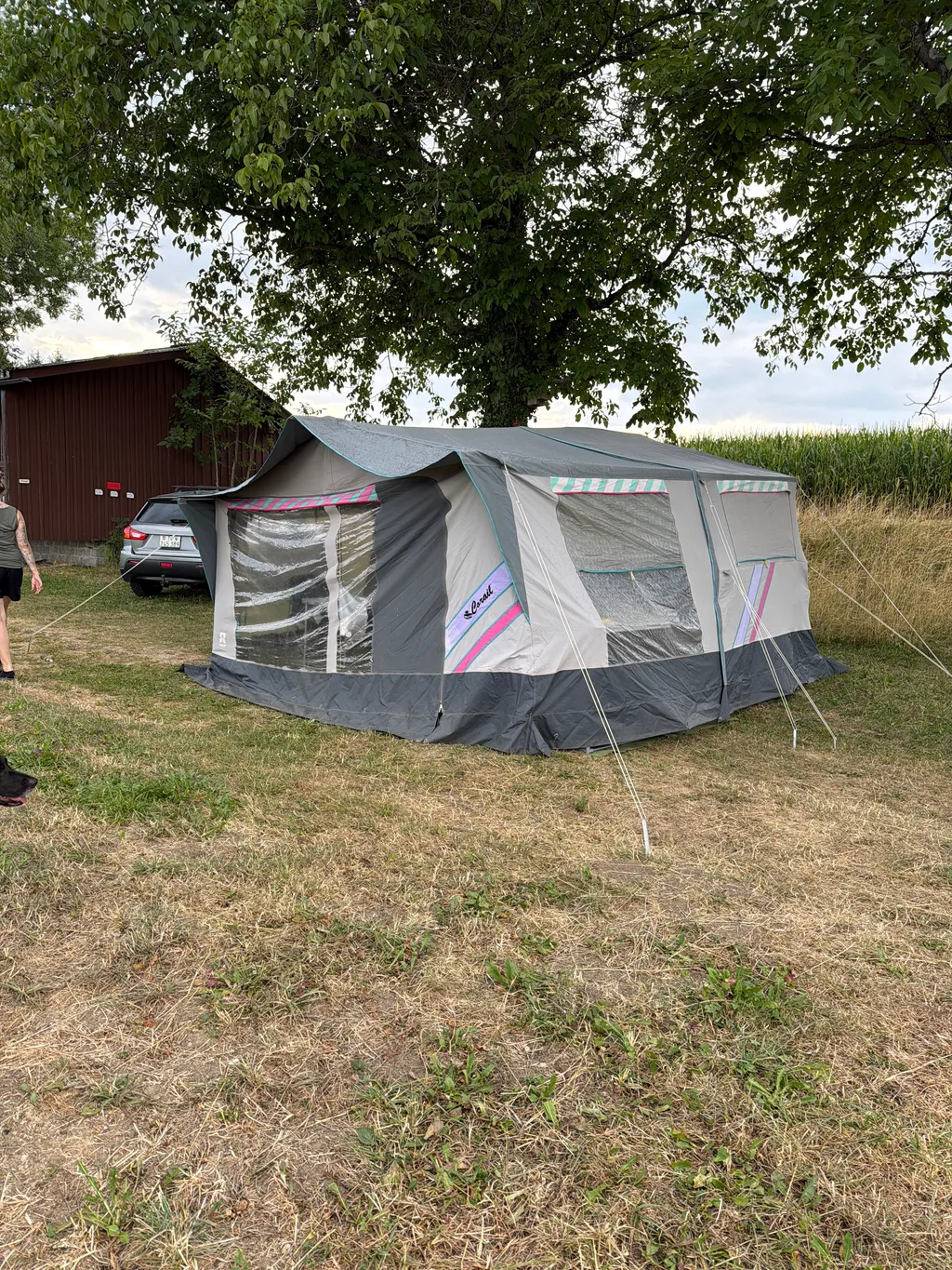 Bild von Adam für den Spot 519