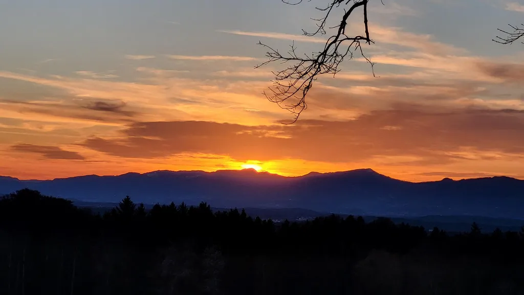 Bild von Roman für den Spot 349