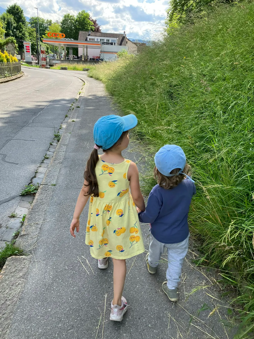 Profilbild von Nikola