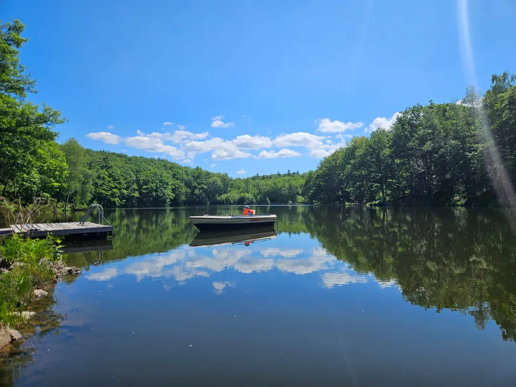 Camper Idylle am Waldsee