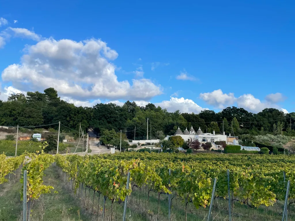 Bild von Josef für den Spot 1040