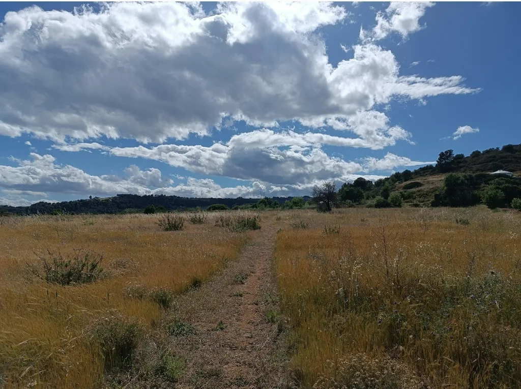 Campo con vista su mare