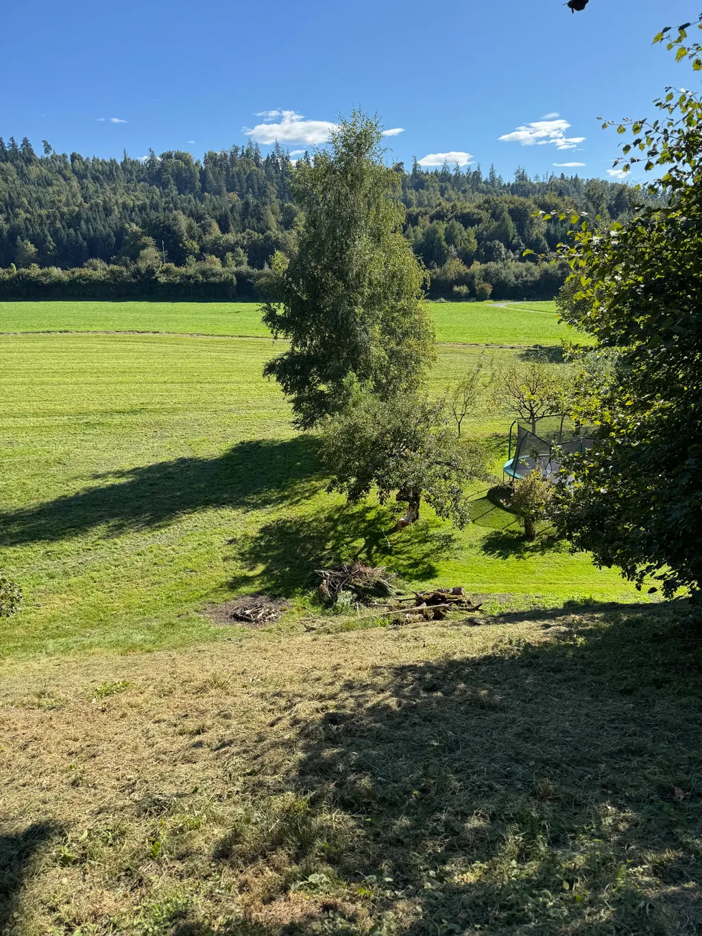 Bild von Melanija für den Spot 1001