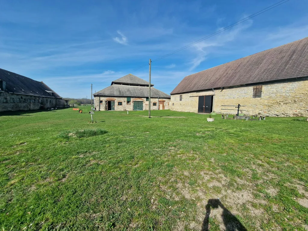 Schlafen bei den Schafen