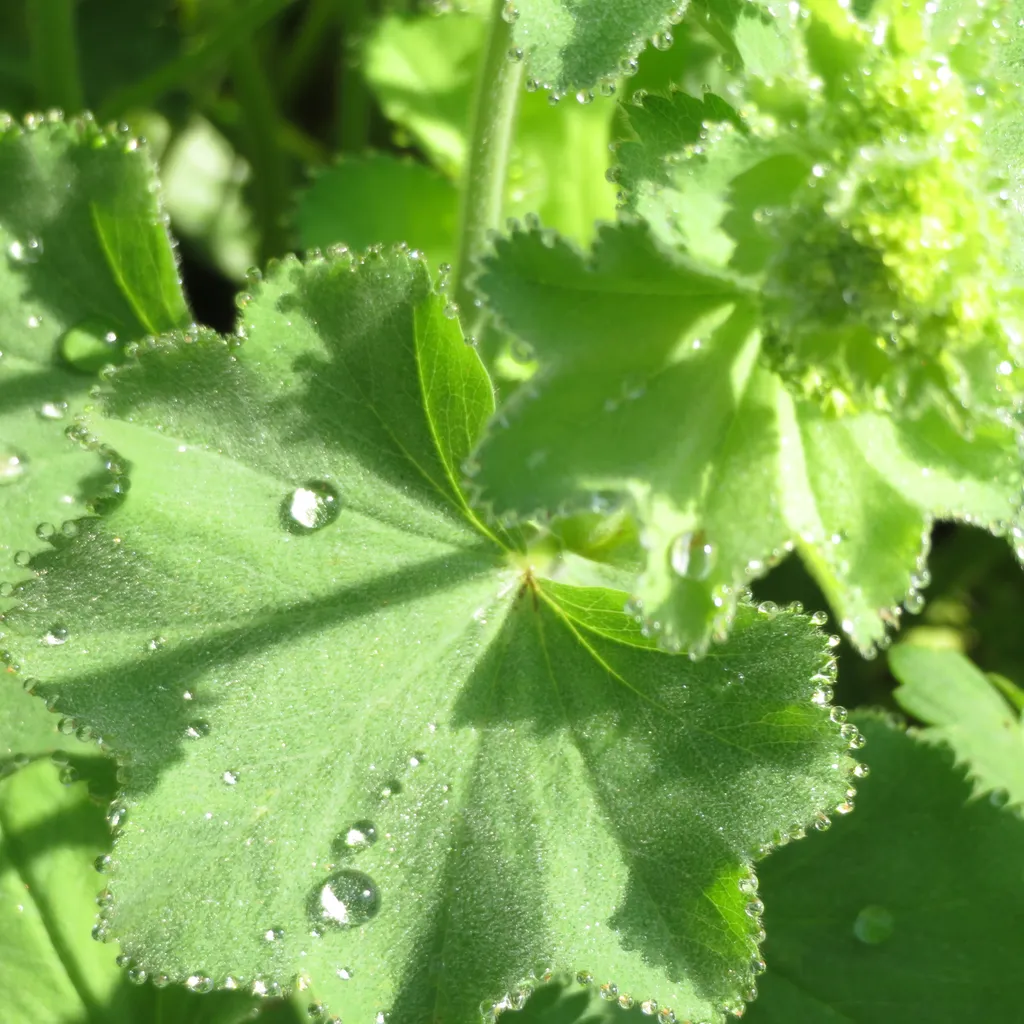 Profilbild von Nicole