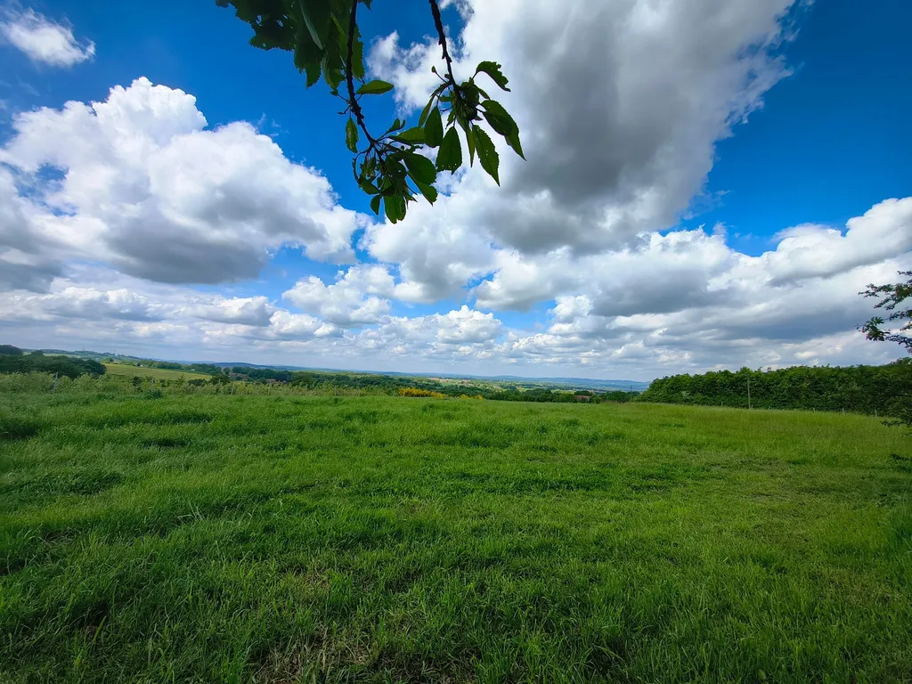 Logenplatz für das tägliche Naturschauspiel