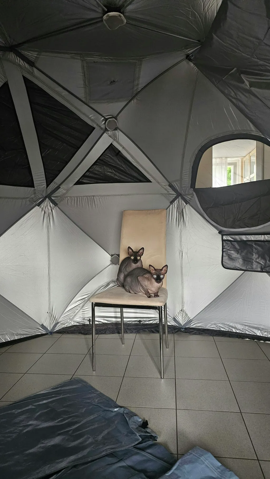 Profilbild von David