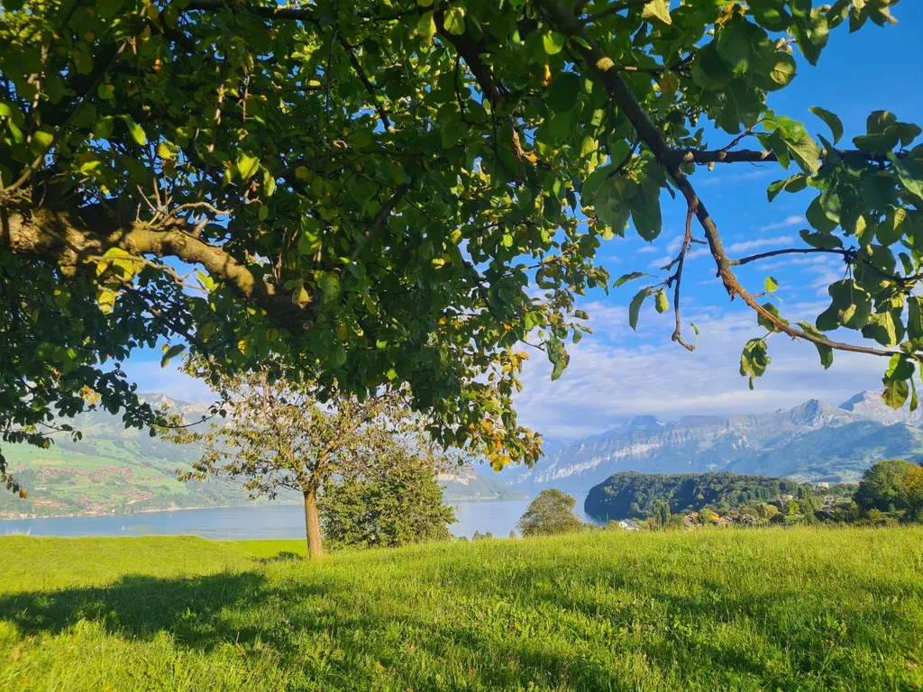 Bild von Marvin für den Spot 897