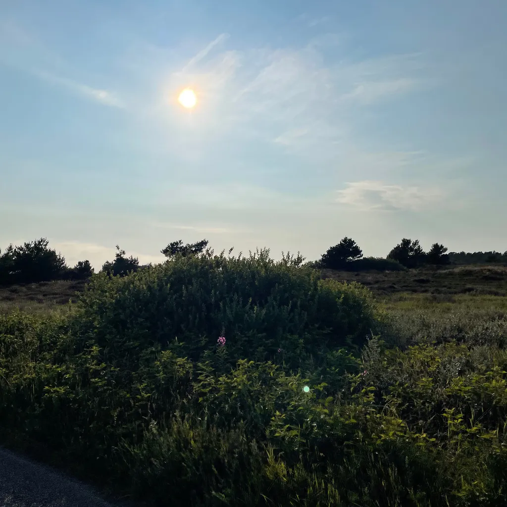 Profilbild von Franz