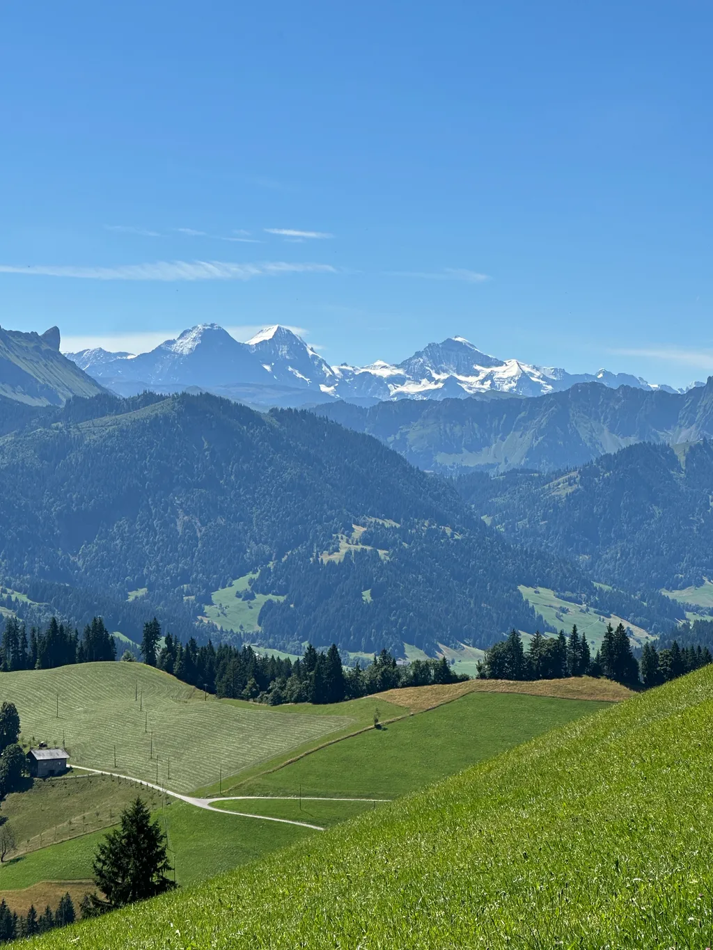 Bild von Hans für den Spot 318