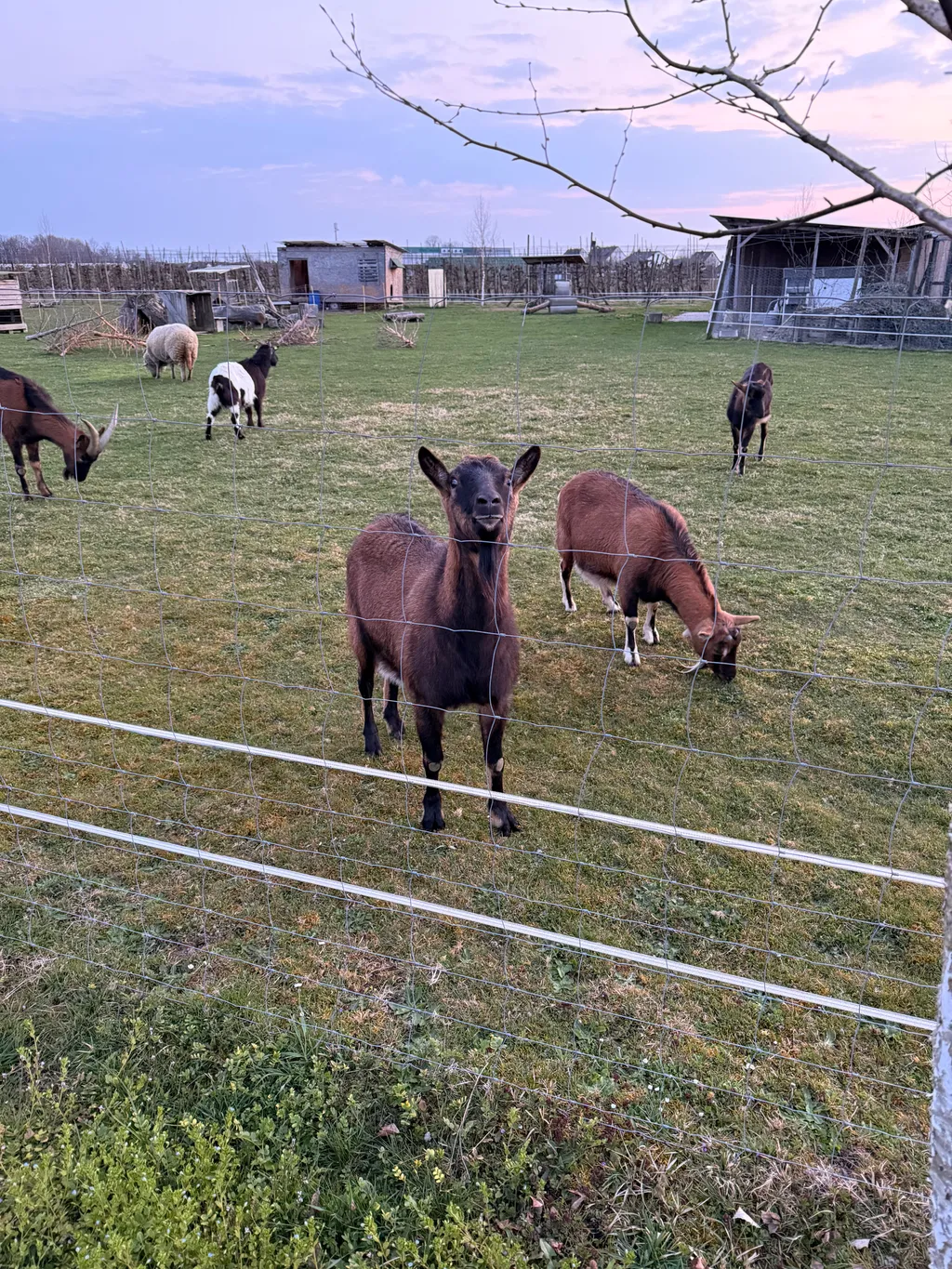 Image by Finn for spot 1510