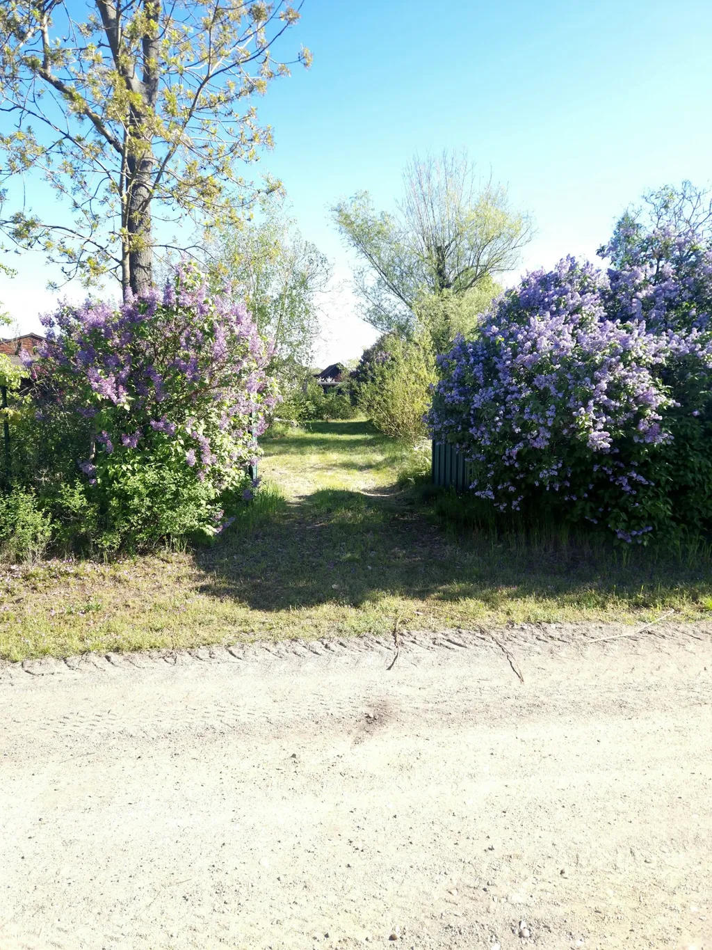 Loppis Camping Wiese Bronkow
