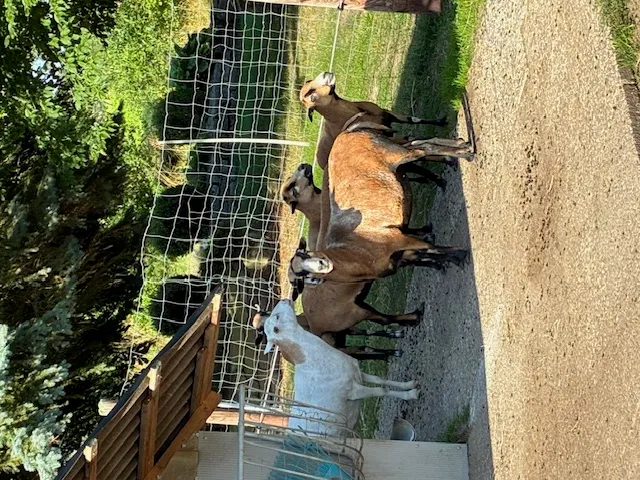 Bild von Marc für den Spot 3729