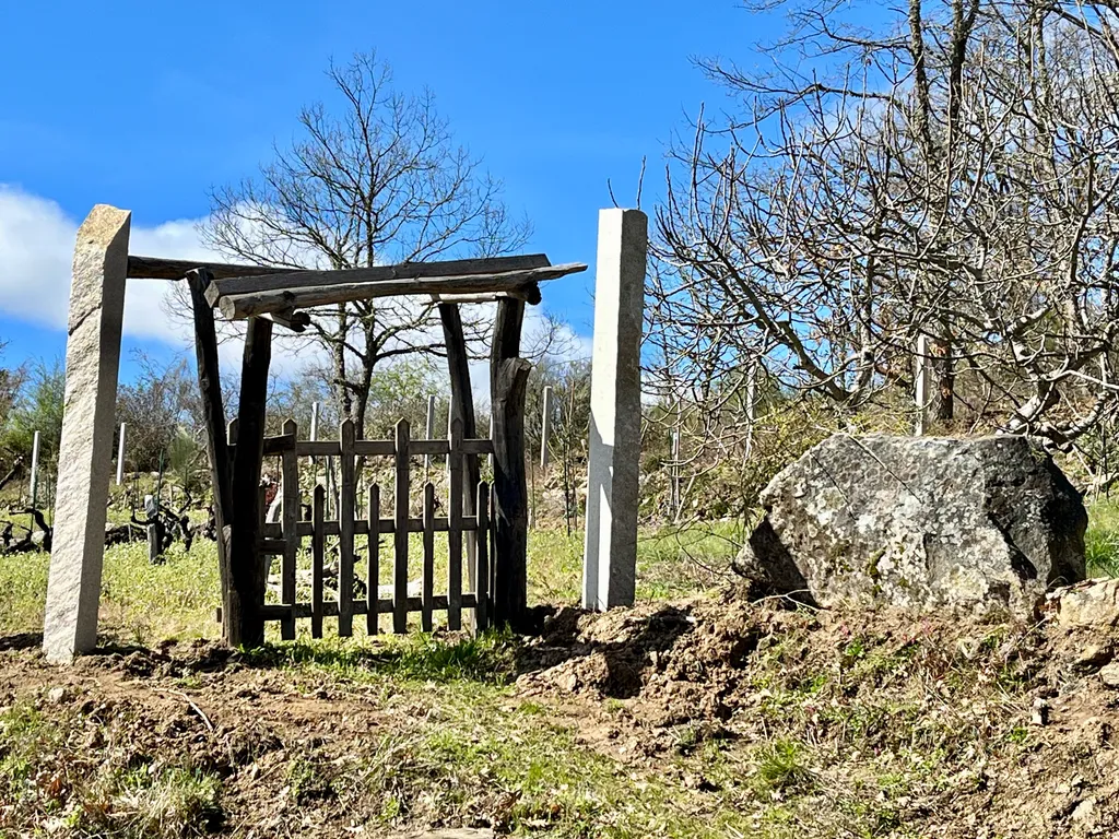 In the middle of vineyards in the Ribeira Sacra