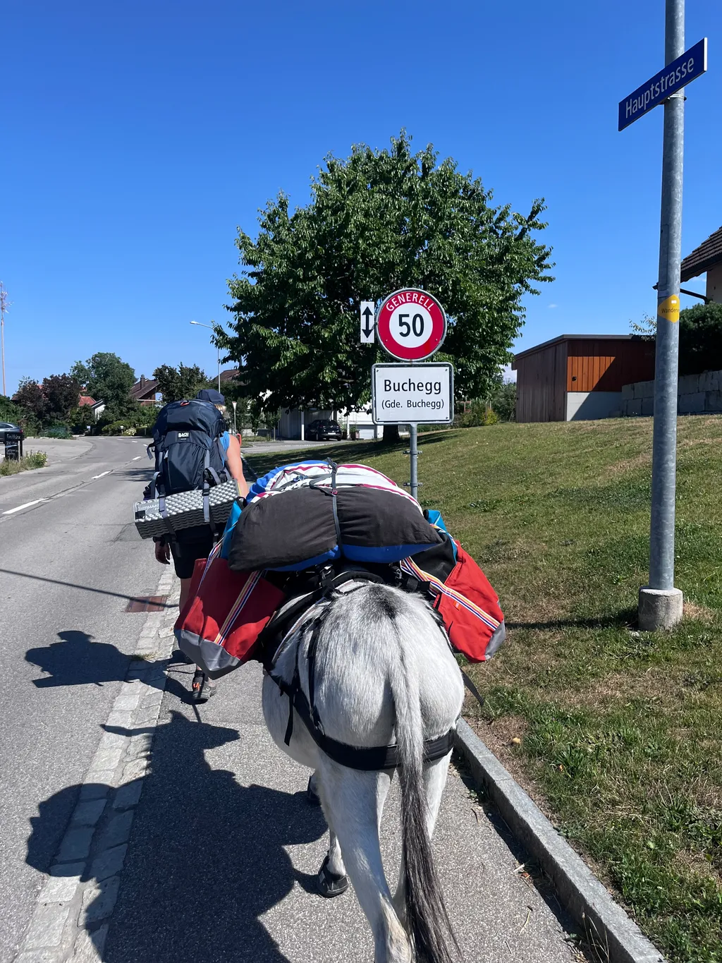 Bild von Annelies für den Spot 5195
