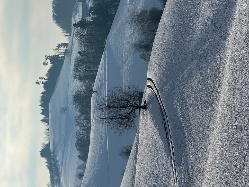 Bild von Peter für den Spot 215