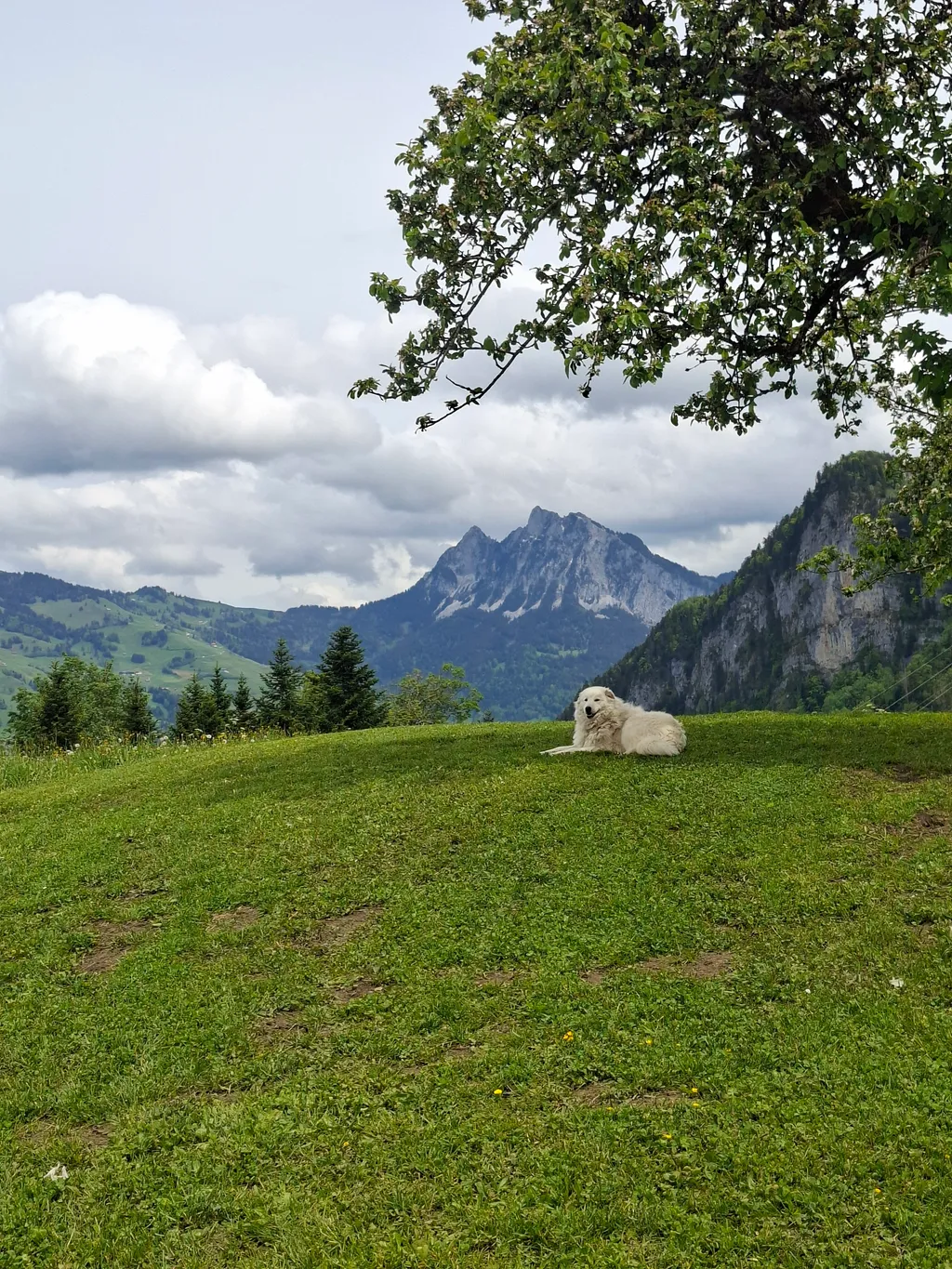 Aussicht