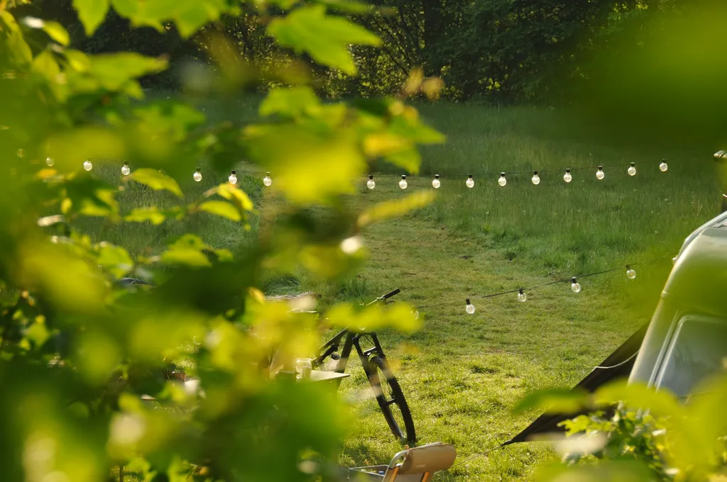 Vogelgezwitscher im Buchengrün