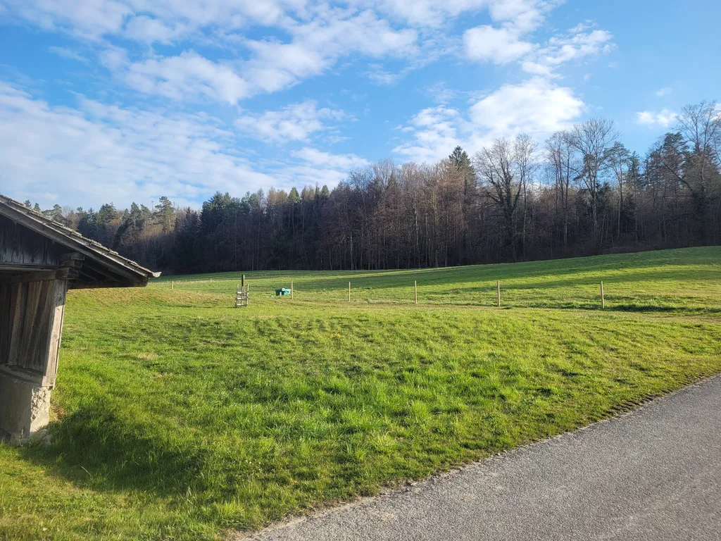 Abgelegene Idylle in Moorwilen