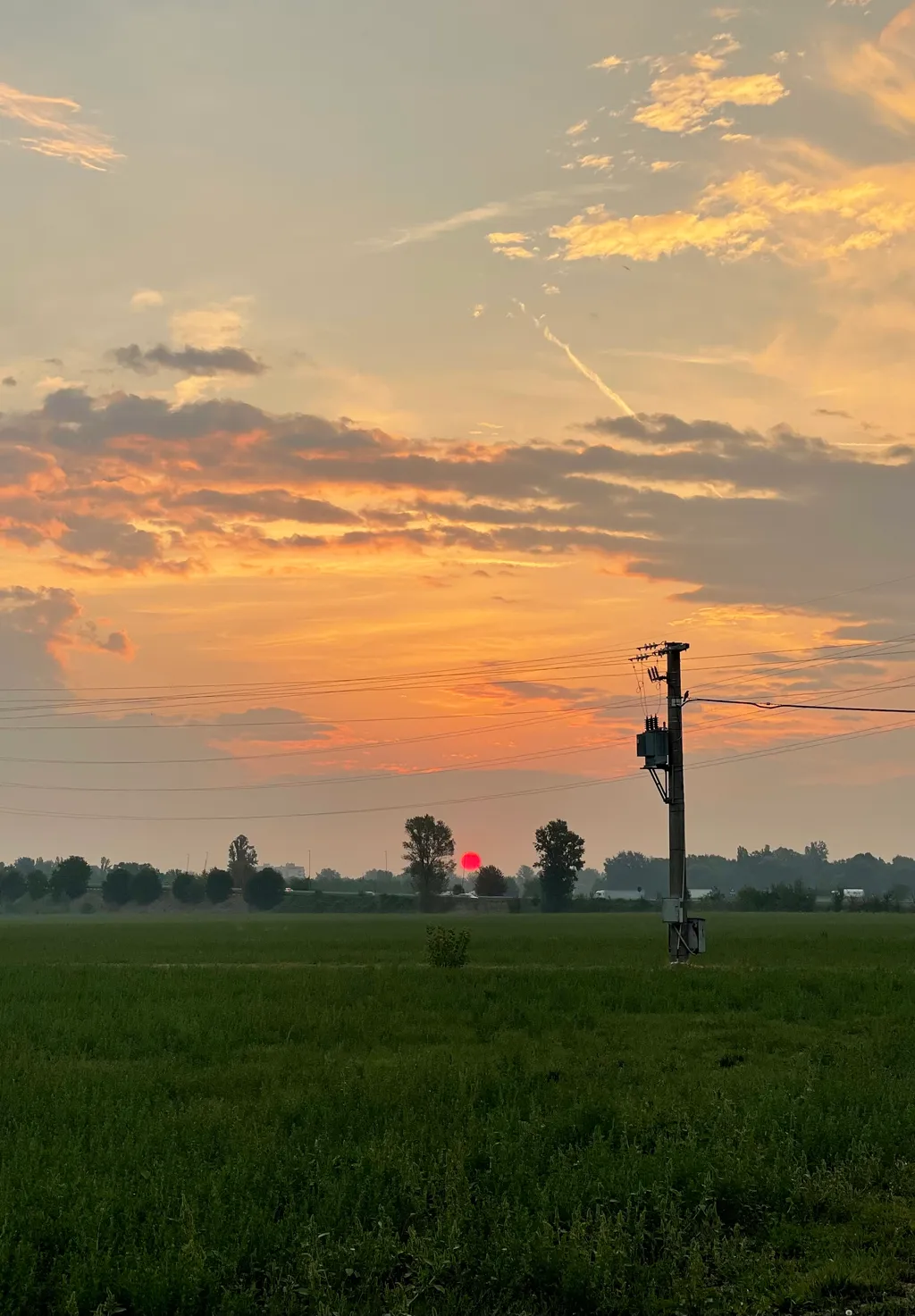 Image by Annika for spot 3889