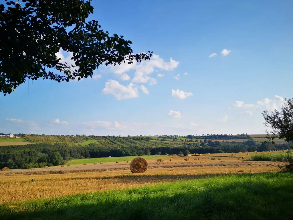 Blick übers Bachtal