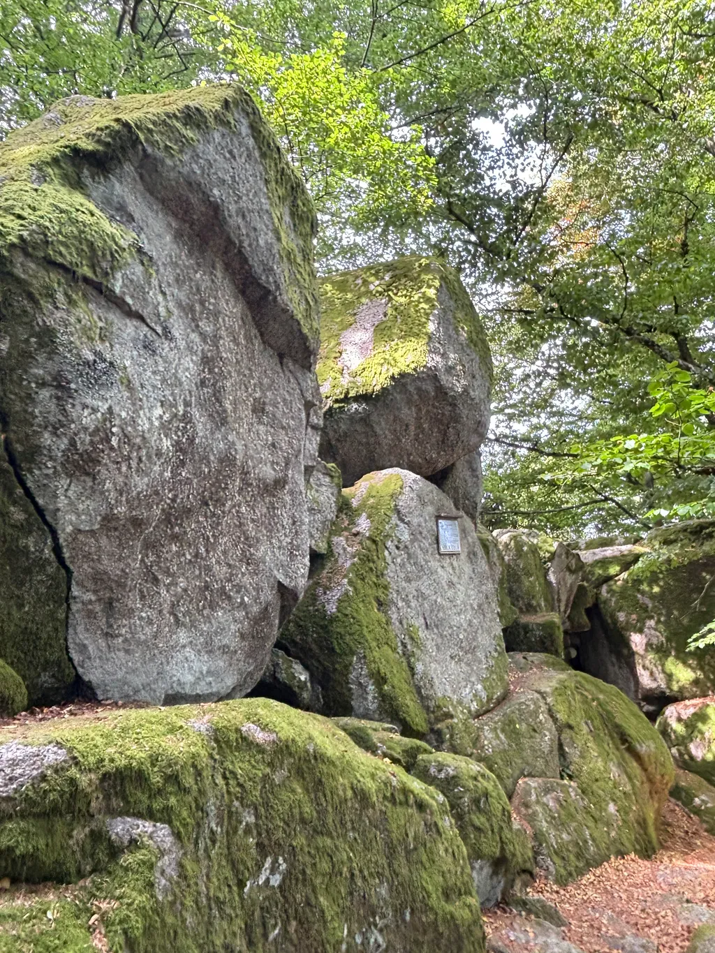 Bild von Holger für den Spot 1551