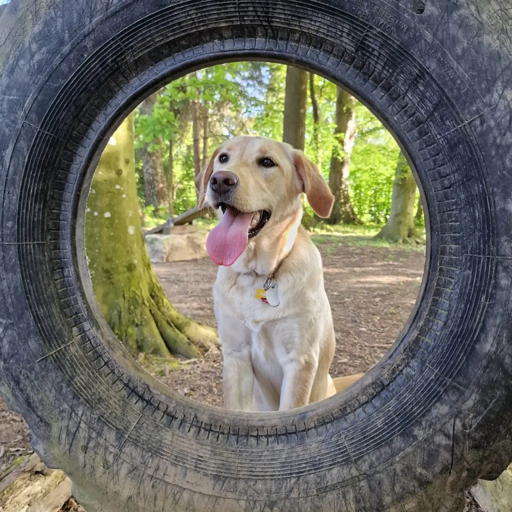 Profilbild von Gerald