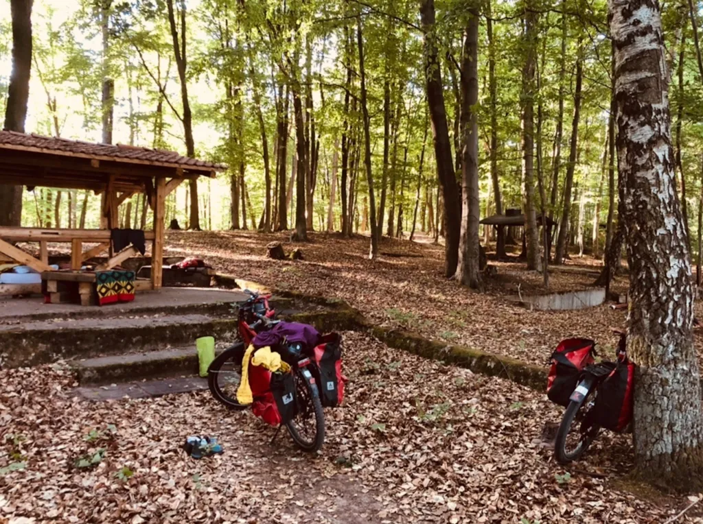 Wald-Shelter im Buchengrün