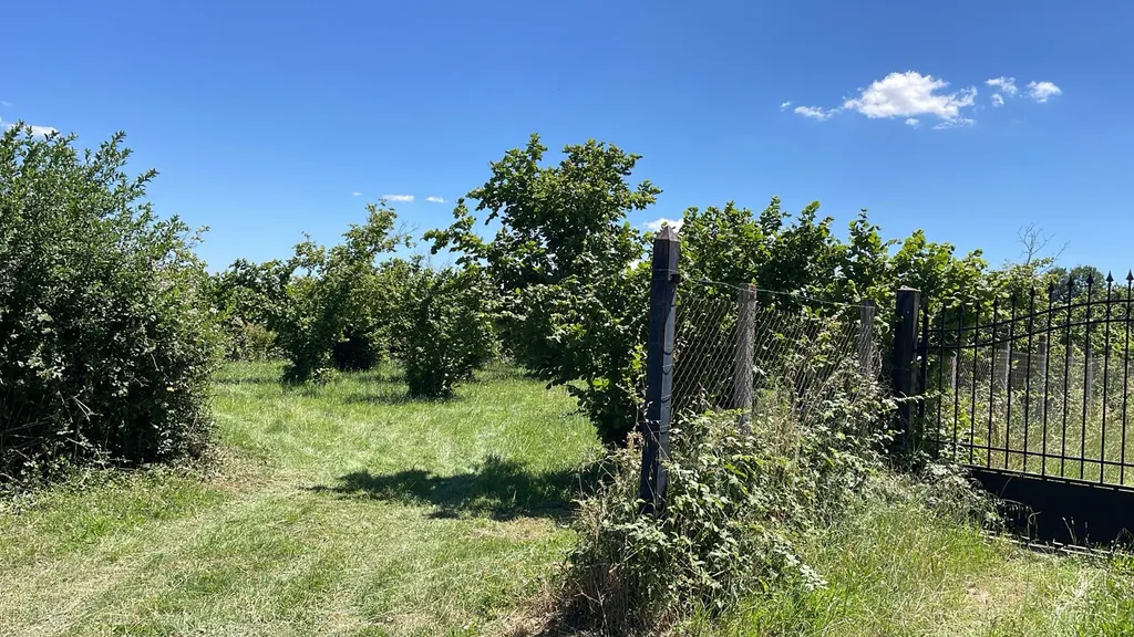 L'entrata del terreno