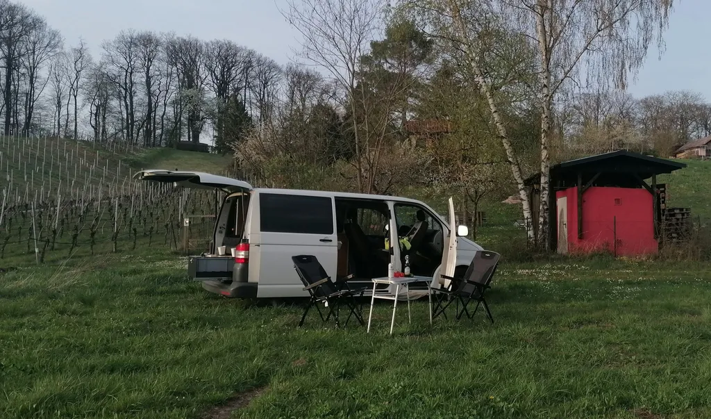 Wo's Blümle wächst