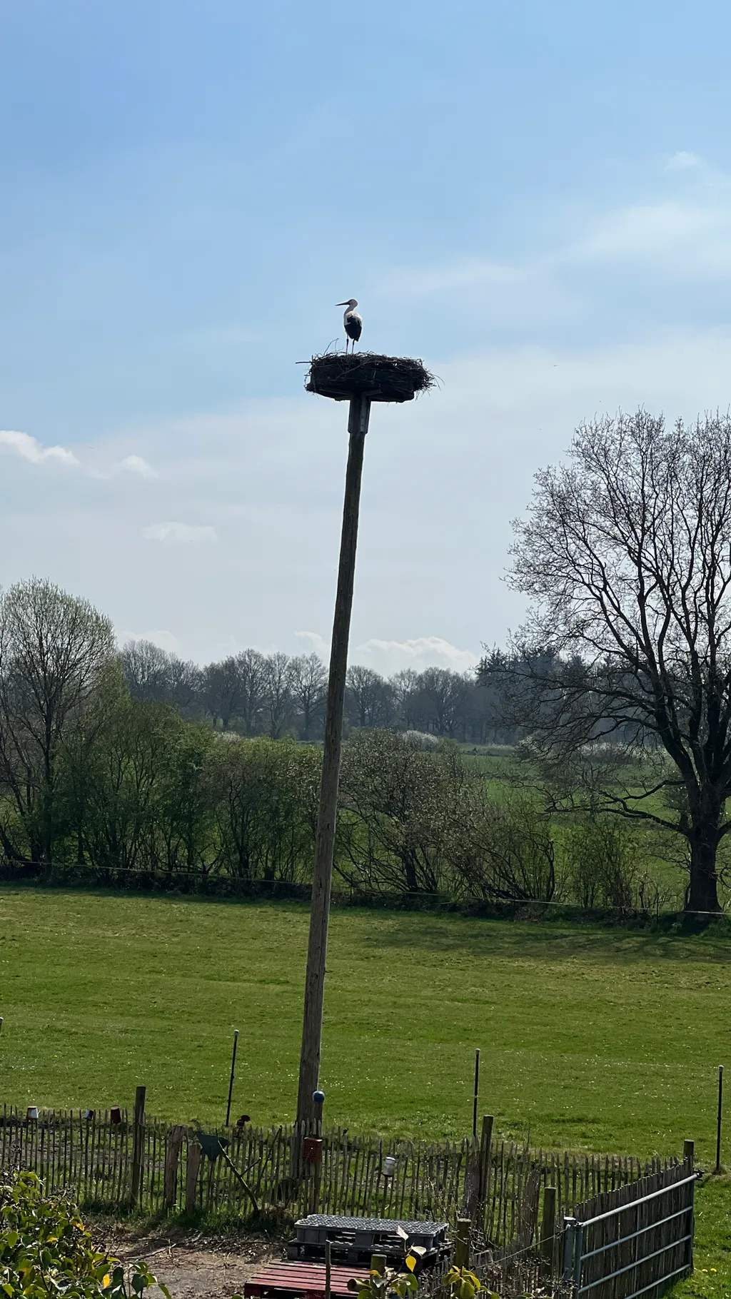 Einsamer Resthof im Grünen