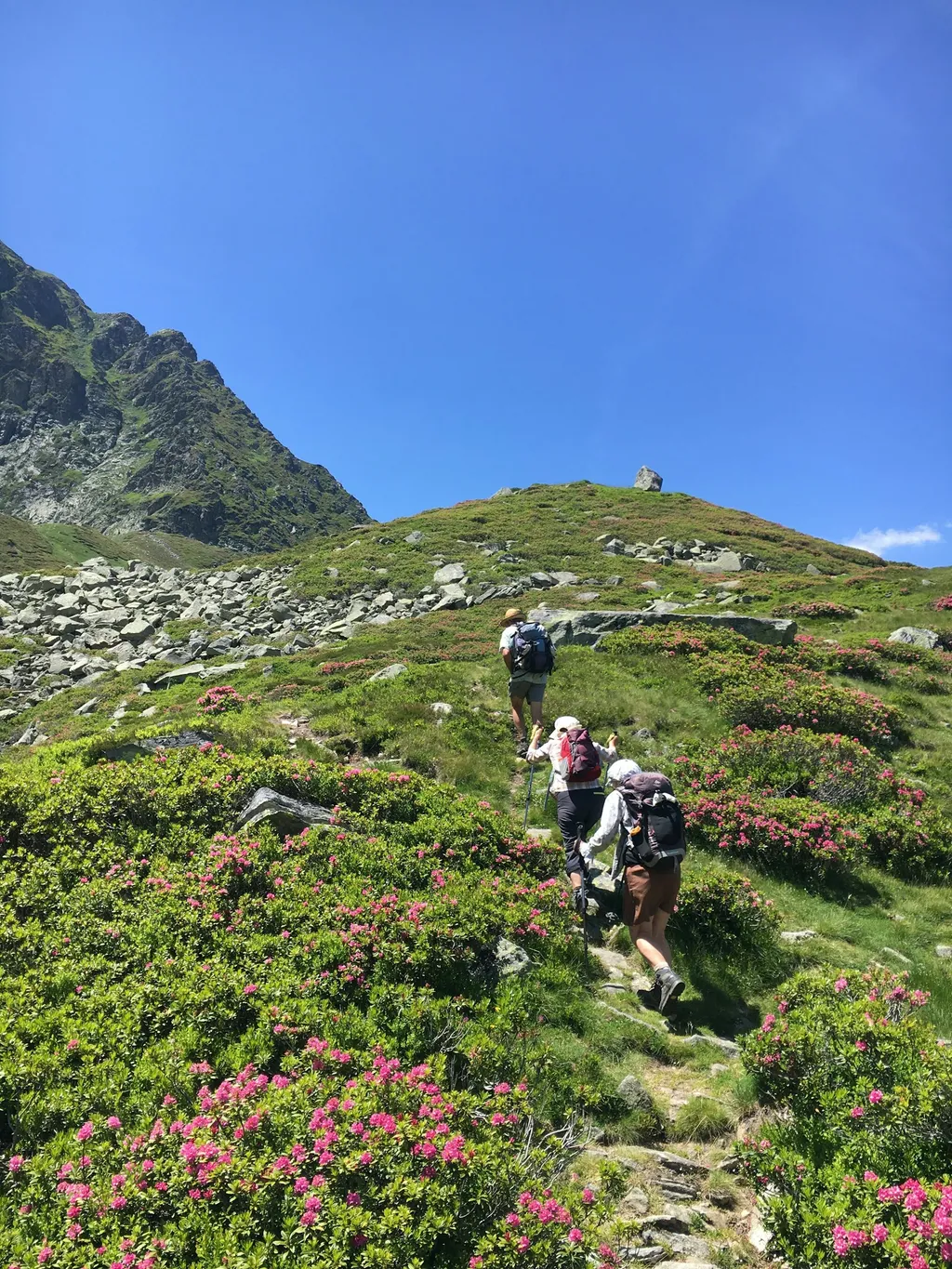 Camping près des montagnes