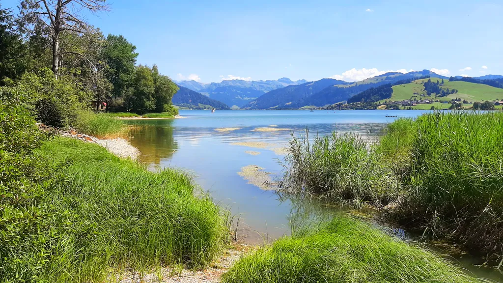 Immagine di Norbert per lo spot 451