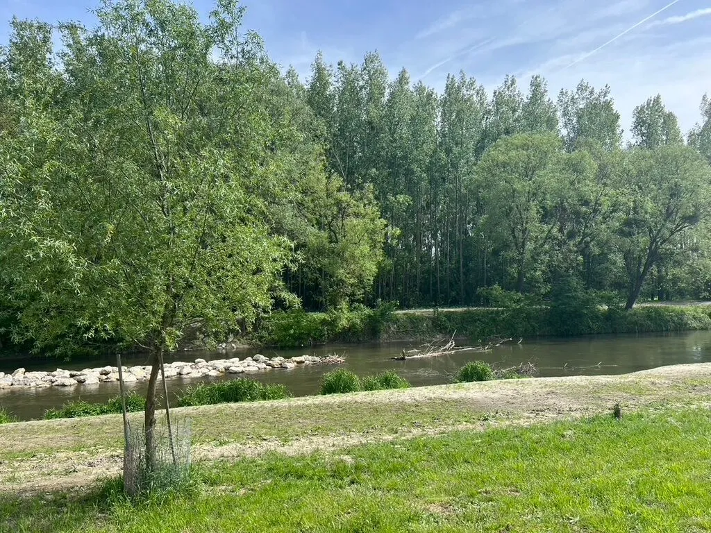 Leitha-Strand Rohrau copyright Marktgemeinde Rohrau.jpg