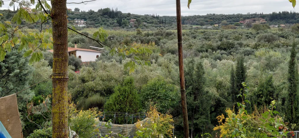 Ruhe und gelassenheit in Patras