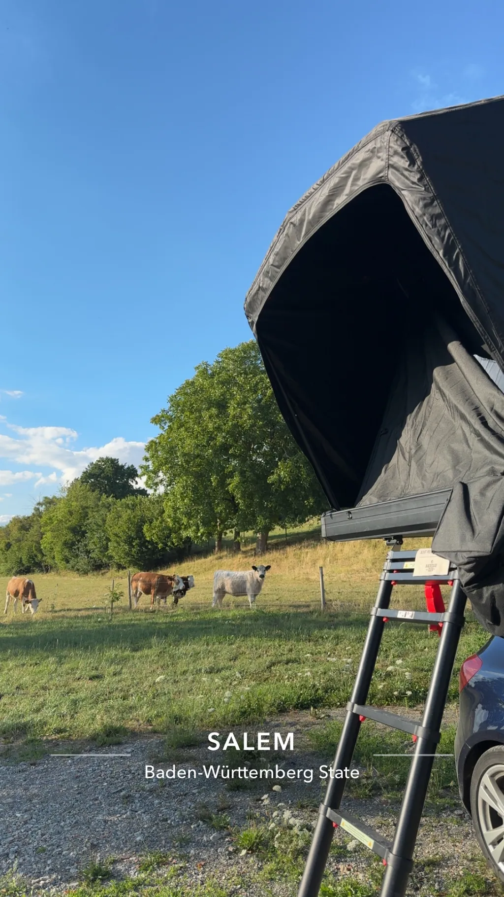 Bild von Shirley für den Spot 3508