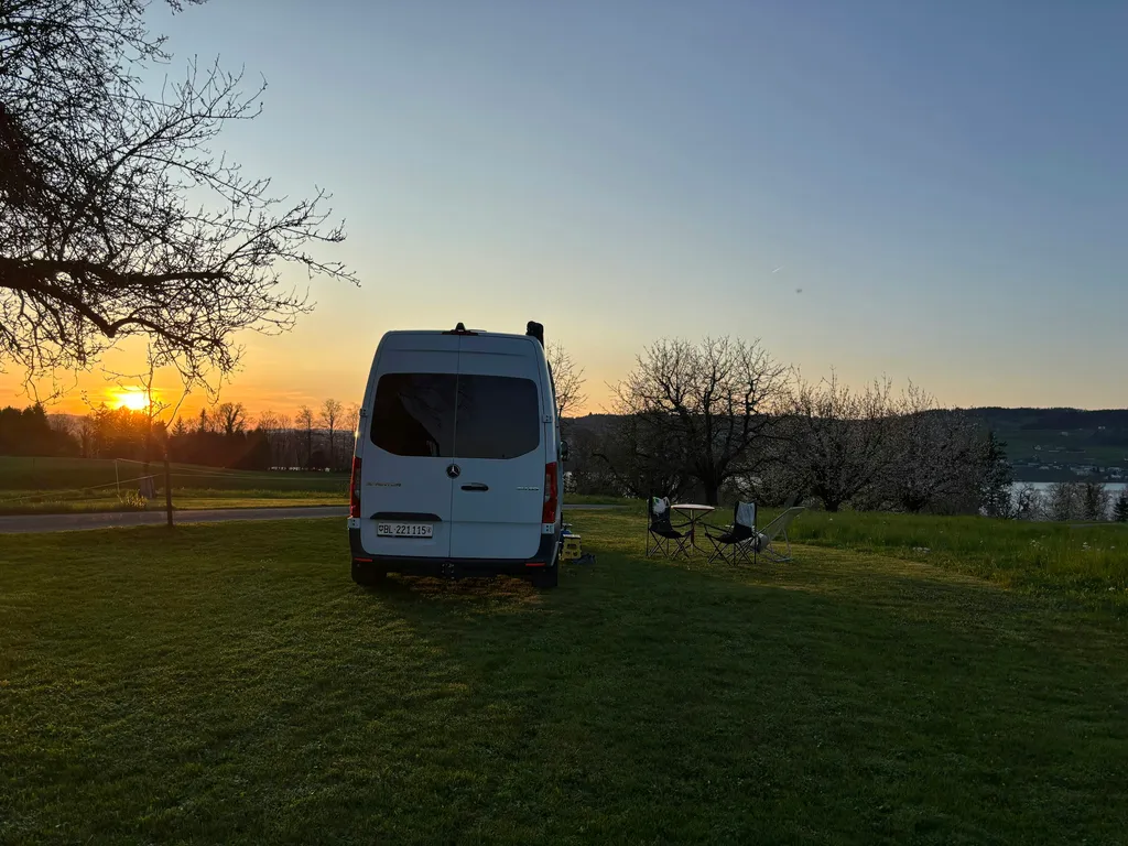 Profilbild von Carol