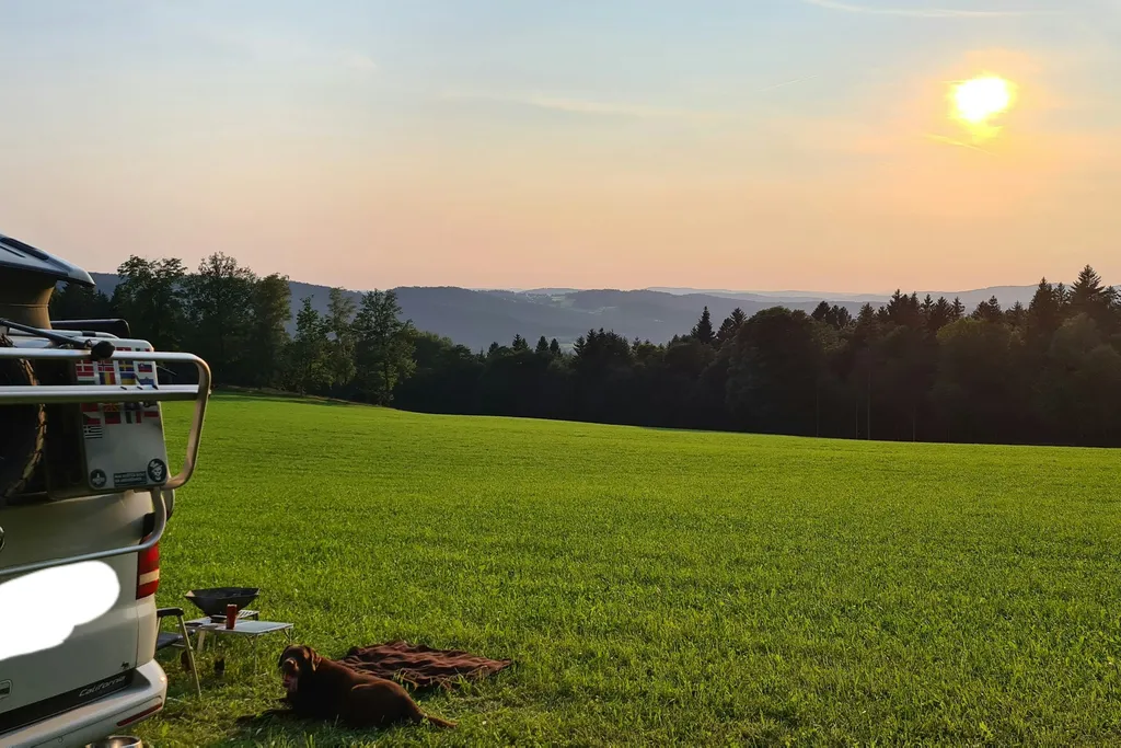 Profilbild von Bernhard