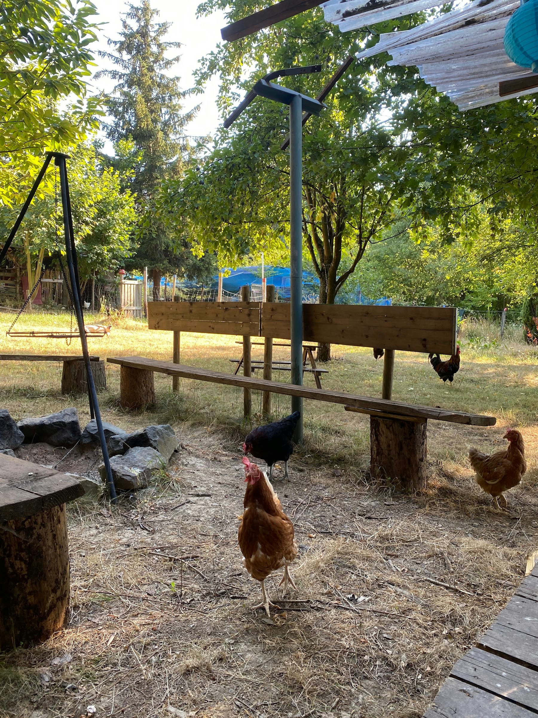 Herzen Farm - Paradies im Ahrtal