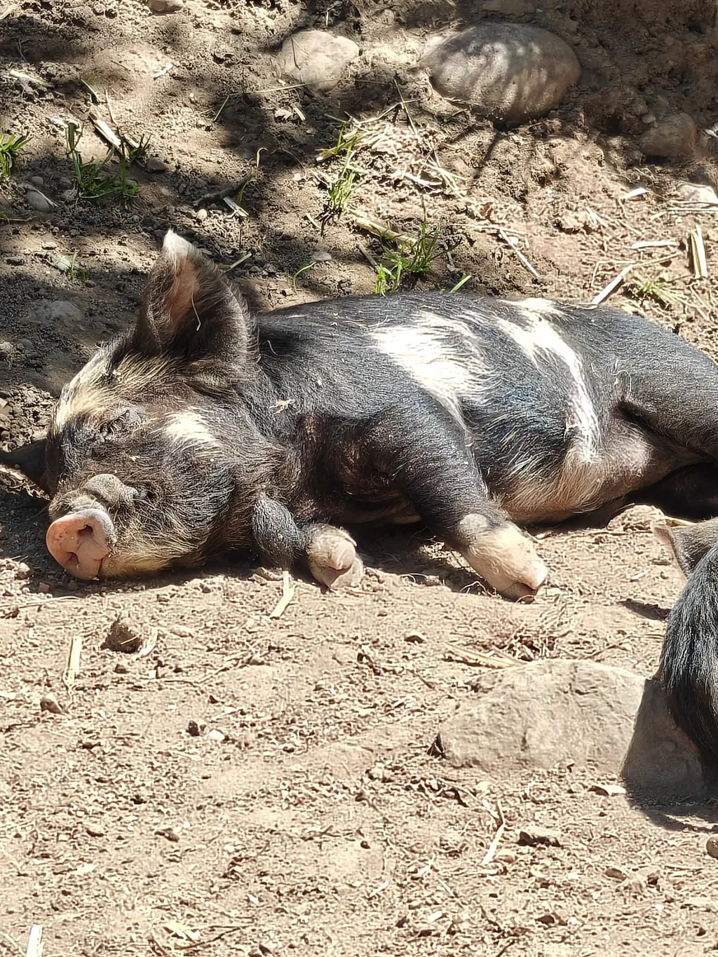 Bild von Brenda für den Spot 218
