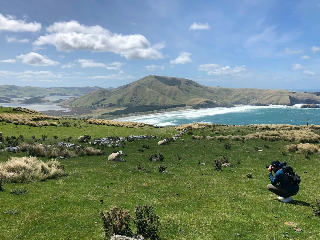 Profilbild von Darko